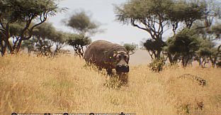 My Life: Safari Vet