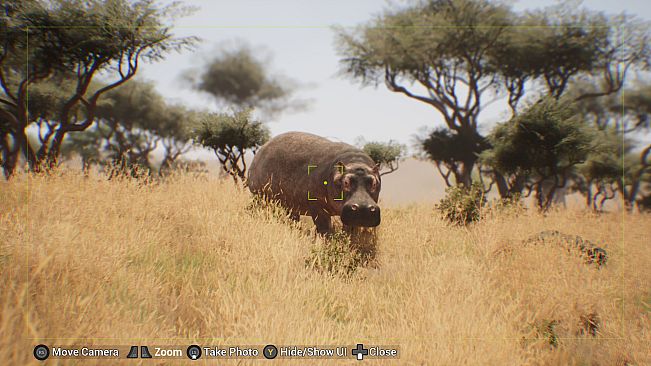 My Life: Safari Vet