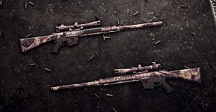 Insurgency: Sandstorm - Canyon Weapon Skin Set