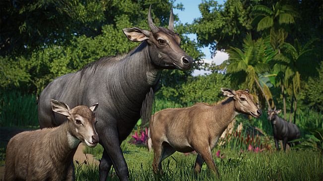 Planet Zoo: Asia Animal Pack
