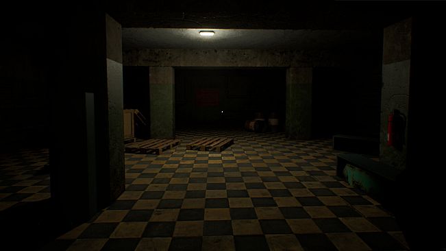 THE SILENT BUNKER SCREAMING ECHOES