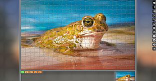 Jigsaw Puzzle Pack - Pixel Puzzles Ultimate: Variety Pack 5