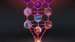 Exit: A Biodelic Adventure