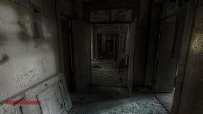 Wild Cats of Wasteland