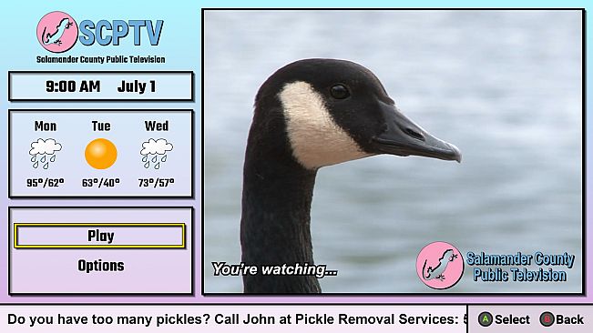 Salamander County Public Television