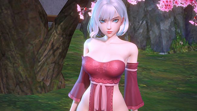 Angel Legion-DLC Draped Corsetry D