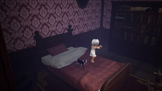 LIGHT:Black Cat & Amnesia Girl