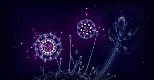 Microcosmum: survival of cells - Colors for organisms