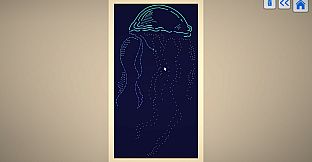 WooLoop - Aquatic Pack