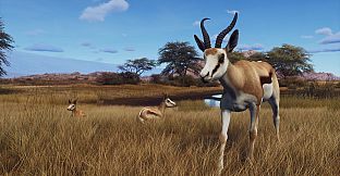 Way of the Hunter - Tikamoon Plains