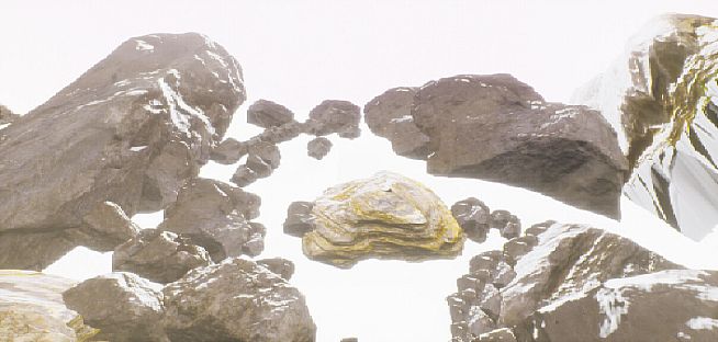 Jam Scrapz Collection