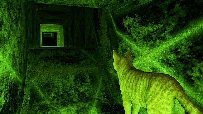 Little Strays 2 - Valley of Colors