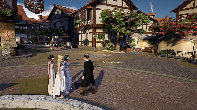 Silver Creek Town
