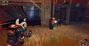 Bunny Madness Anarchy