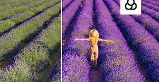 Movavi Video Suite 2024 - Adventure Colors Gift Pack