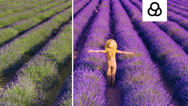 Movavi Video Suite 2024 - Adventure Colors Gift Pack