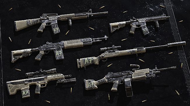 Insurgency: Sandstorm - Accolade Set Bundle