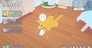 Purrozy: Cat in Focus