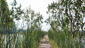 HIKE: Beyond the Trails