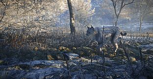theHunter: Call of the Wild - Medved-Taiga - Windows 10