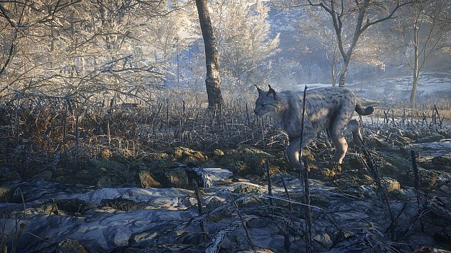 theHunter: Call of the Wild - Medved-Taiga - Windows 10