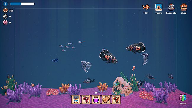 Tiny Aquarium: Social Fishkeeping