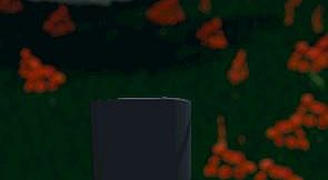 Hide and Seek - Top Hat