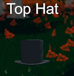 Hide and Seek - Top Hat