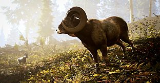 Hunting Simulator 3