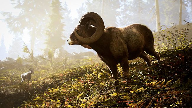 Hunting Simulator 3