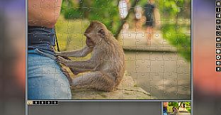 Pixel Puzzles Traditional Jigsaws Pack: Variety Pack 10