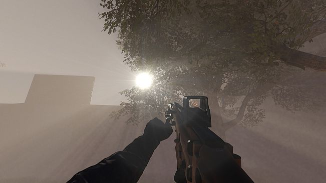 Operation Desolate Void