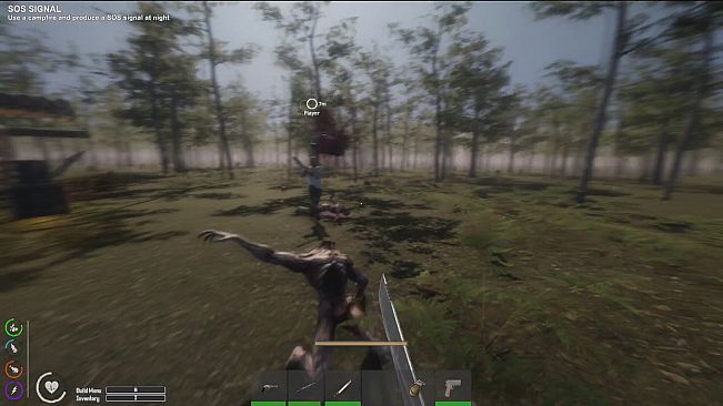 The Seekers: Survival