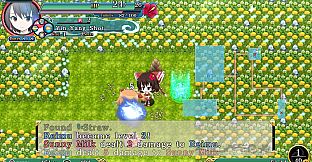 "Reimu Hakurei" Bikini Costume (Touhou Genso Wanderer -Reloaded-)