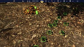 Empire of the Insects