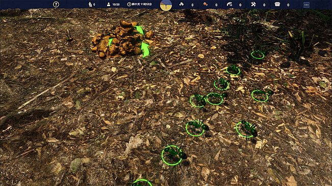 Empire of the Insects