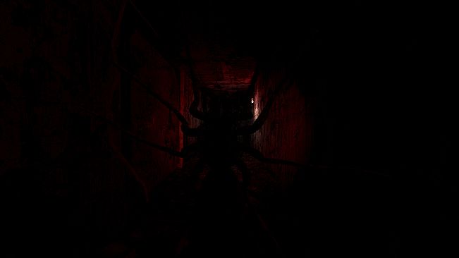 Asylum of the Forsaken