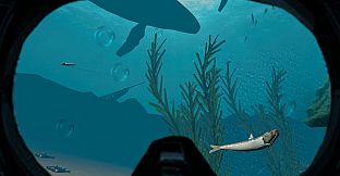 Absolute VR Experiences