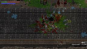 Skautfold: Into the Fray