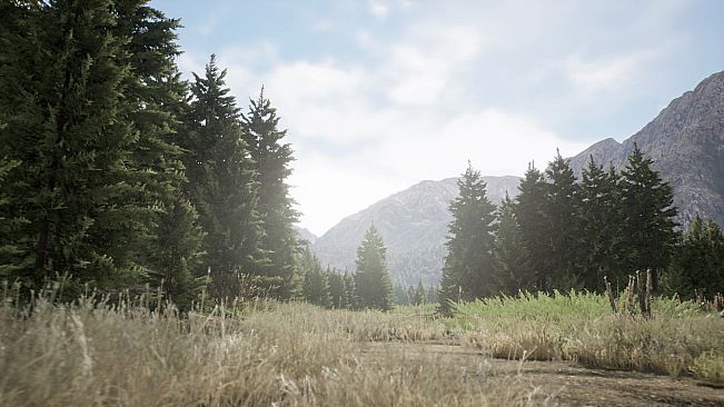 Where the City Ends