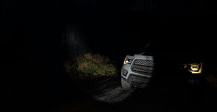 Light - Die to Survive