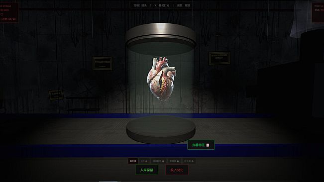 Is That a Human Organ?