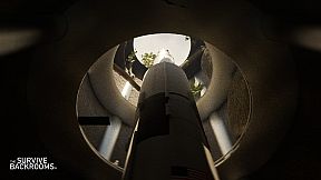 Survive The Backrooms