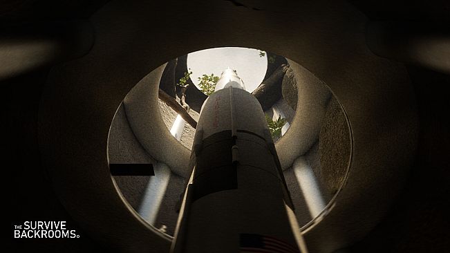 Survive The Backrooms