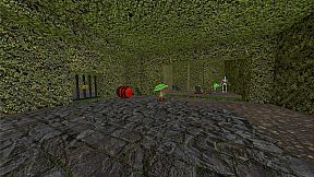 The Creature of Chaos