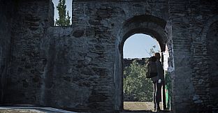 In the Belly of the Night