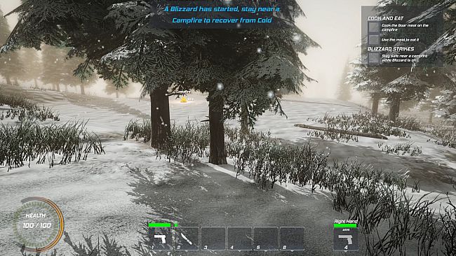 Winter Warfare: Survival