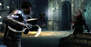 Dark Sector