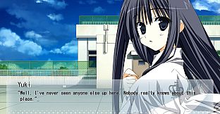 Wonderful Everyday Down the Rabbit-Hole