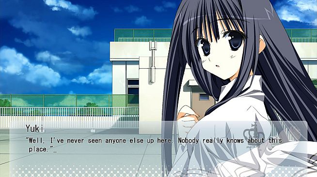 Wonderful Everyday Down the Rabbit-Hole